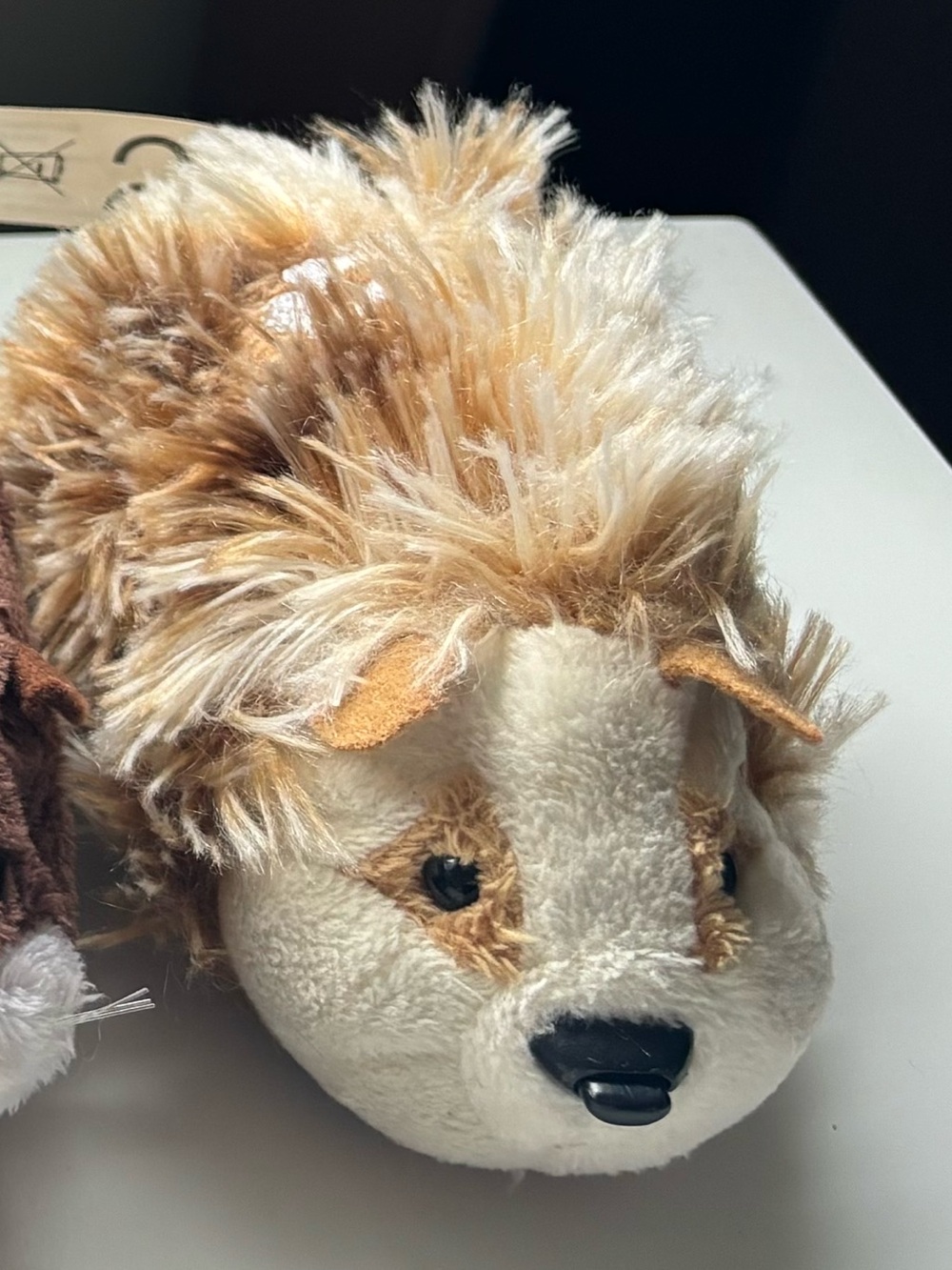 Zhu Zhu robotic hedgehog